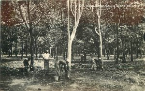 Postcard RPPC Malaysia gathering rubber workers Southeast Asia 23-9013