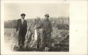 Hunting - Men Holding Guns & Dead Rabbits c1910 Amateur Real Photo Postcard