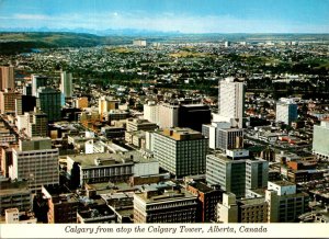 Canada Calgary From Atop The Calgary Tower