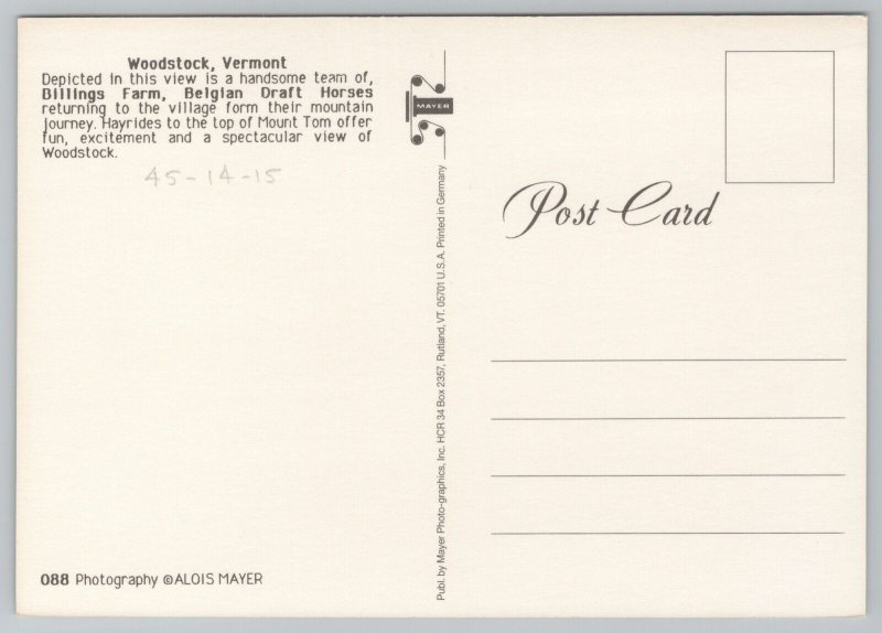 Bridge~Hearse Team @ Covered Bridge Woodstock Vermont~Continental Postcard