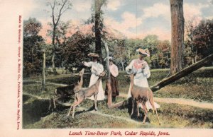 Cedar Rapids, Iowa - Lunch Time - Bever Park - c1908 - Vintage Postcard