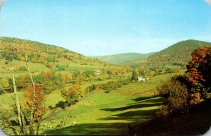 New York Catskill Mountains Narrowsburg Greetings From Fort Delaware