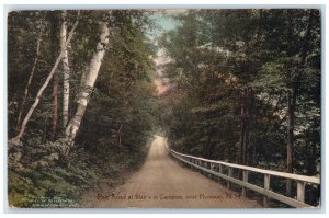 1919 State Road Blair Campton Plymouth New Hampshire NH Hand-Colored Postcard