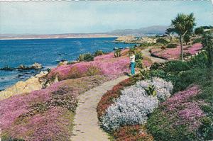 California Monterey Peninsula Showing Shoreline With Beautiful Spring Flowers