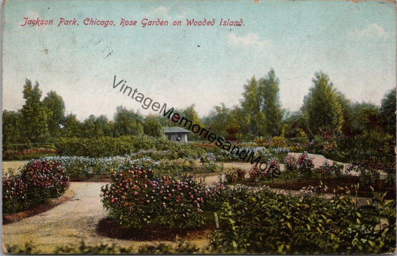 Jackson Park Chicago Rose Garden on Wooded Island Postcard PC262