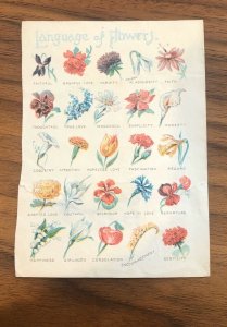 Language of Flowers - Victorian Trade Card