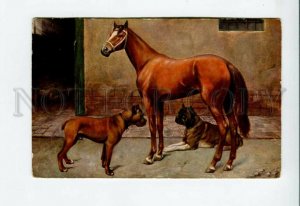 3157049 HORSE & GREAT DANE near Stable Vintage TSN color PC