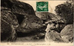 CPA FONTAINEBLEAU - La Foret - La Roche qui pleure (248949)