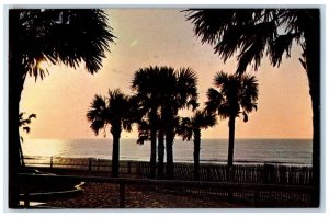 Greetings From Beautiful Myrtle Beach South Carolina SC, Beach View Postcard