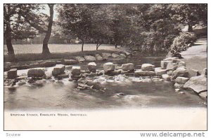 Stepping Stones, Endcliffe Woods, Sheffield, South Yorkshire, England, UK, 19...