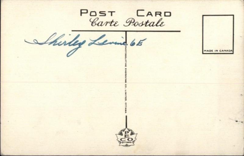 Newfoundland Dog Old Canadian Postcard