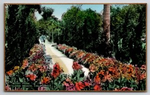 Long Beach Bixby Park CA Fred Martin Hand Colored Gilded Photo Postcard I30