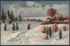 Christmas Greetings,Scene,Tuck's Postcard