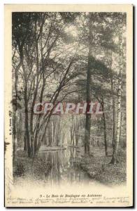 Old Postcard The Bois de Boulogne in Autumn