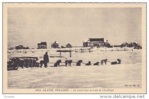 Aux Glaces Polaires, Le Charriage du bois de chauffage, CANADA, 10-20s