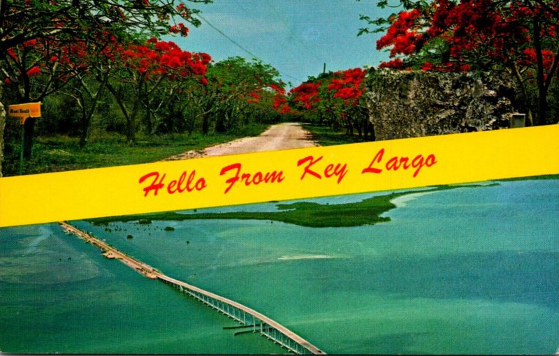 Florida Keys Hello From Key Largo