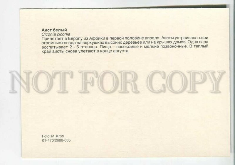 195566 Europe white stork old postcard