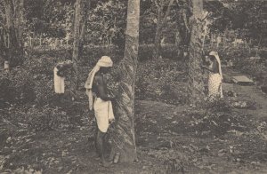 Tapping Rubber Trees Ceylon India Old Postcard