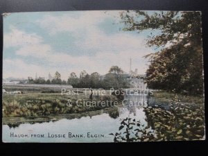 Elgin, Haugh from Lossie Bank c1905 - Pub by H W F & Co No.0001