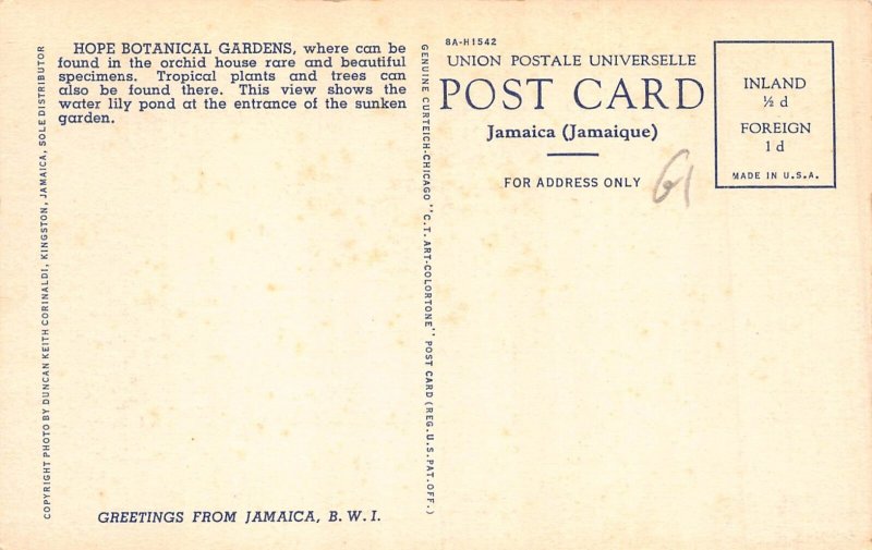 A865 Jamaica Hope Botanical Gardens Fountain vintage postcard