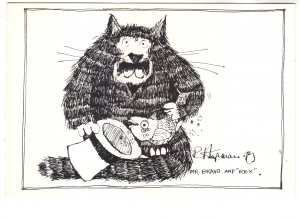Mr Bravo & Rex, Magician Cat, Fish, 1978 Hupman Illustrator Canada, Magician