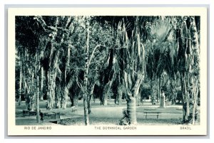 Botanical Gardens Rio De Janeiro Brazil UNP WB Postcard V20