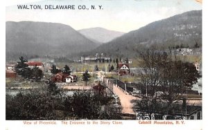 Entrance to the Stony Clove in Walton, New York