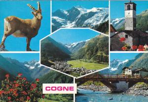 Italy Cogne Multi View