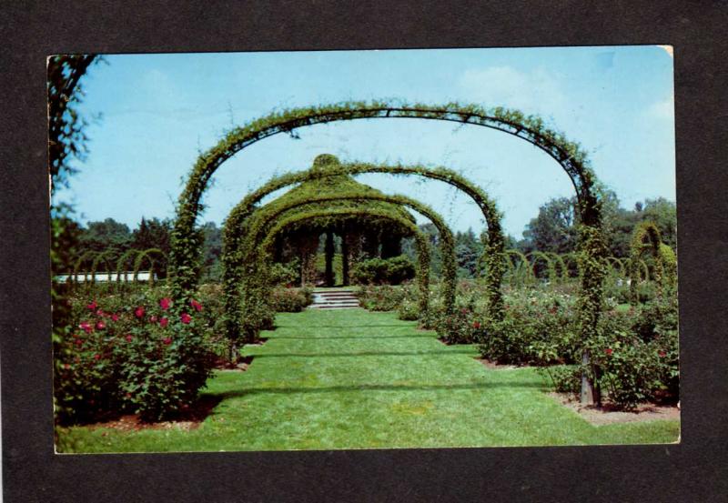 CT Elizabeth Park Rose Gardens Hartford Conn Connecticut Postcard