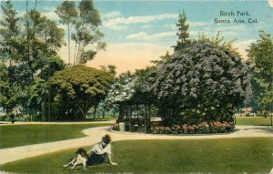 California Santa Ana Birch Park Wiesseman  C-1910 Postcard roadside 22-9815