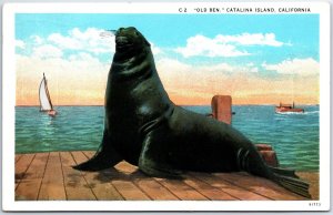 VINTAGE POSTCARD OLD BEN SENIOR SEAL AT CATALINA ISLAND MAILED 1929