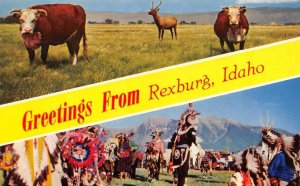 ID, Idaho  REXBURG Greetings MADISON CO  Cattle~Native American Indians Postcard