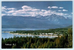 NAKUSP, British Columbia Canada ~Aerial View ARROW LAKES Mt. Odin 4x6 Postcard