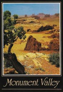 Arizona Monument Valley