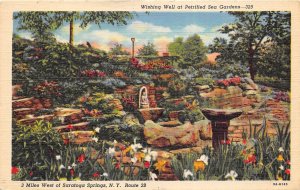 Saratoga Springs New York 1940s Postcard Wishing Well at Petrified Sea Gardens