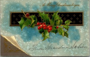 Vtg 1910s Merry Christmas Holly Berries Embossed Postcard