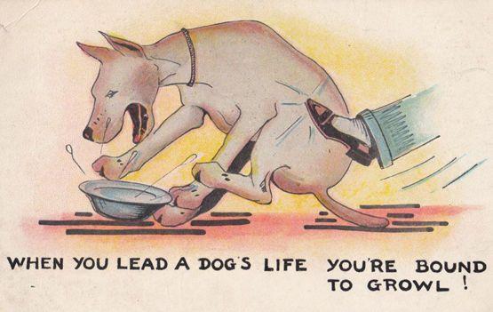 A Dogs Life Man Kicking Dog Eating Antique Comic Humour Postcard