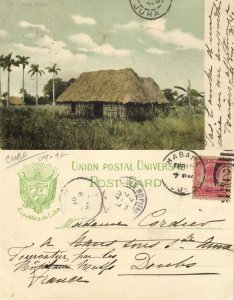 cuba, HAVANA, Paisage Cubano, Cuban Landscape (1907) Postcard