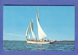 Camden,Maine/ME Postcard,Capt Sharp's Adventure Windjammer