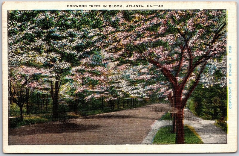 1942 Atlanta GA-Georgia, Dogwood Trees In Bloom, Along Streets, Vintage Postcard