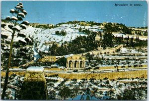 M-79405 Jerusalem in snow Mt of Olives gardens and Basilica of Gethsemane Israel