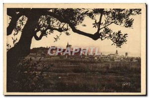 Old Postcard Avignon City view through the olive trees