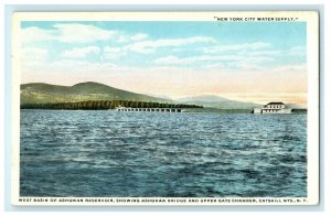 New York Water Supply West Basin Ashokan Bridge Catskill Mountains NY Postcard 