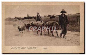 Italy - Italy -Rucellai sheep Old Postcard