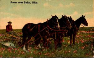 Ohio Farming Scene Near Baltic 4 Horse Team and Plow 1912