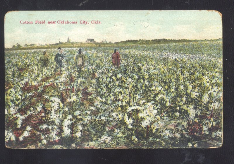 OKLAHOMA CITY OKLAHOMACOTTON FIELD FARMING VINTAGE POSTCARD 1908