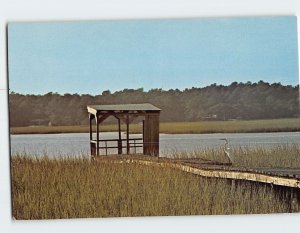 Postcard Tidal Creek Low Country South Carolina USA