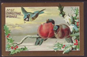 Christmas Wishes,Birds Postcard