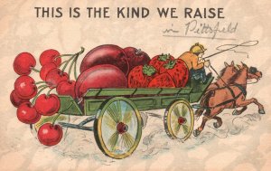 Vintage Postcard 1916 This Is The Kind We Raise! Horse Cart Full of Fruits Comic