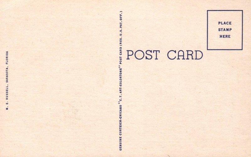 Flamingos ,Sarasota Jungle Gardens,Sarasota,FL